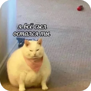🔥