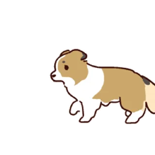 🐶