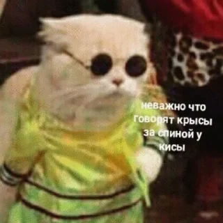 👸