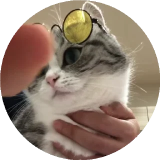 😎