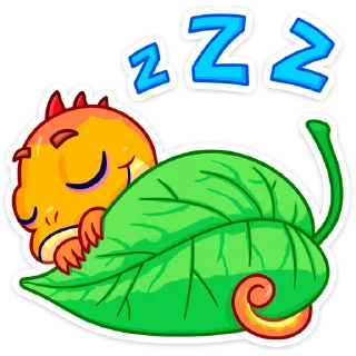 😴