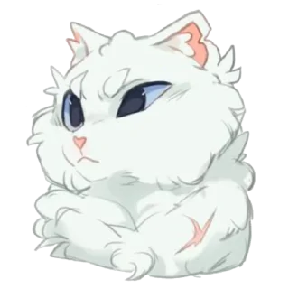 🐱