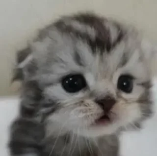 🧴