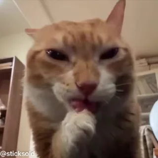 😜