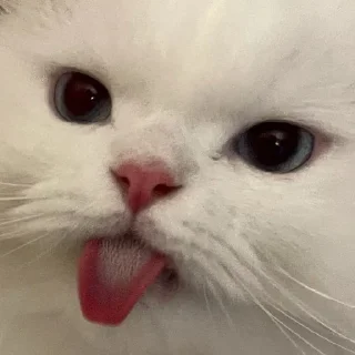 😝