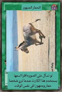 🙂