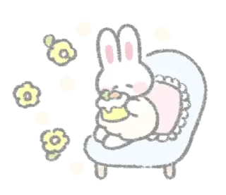 🐰