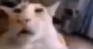 🤨