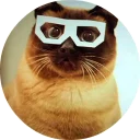 🐱