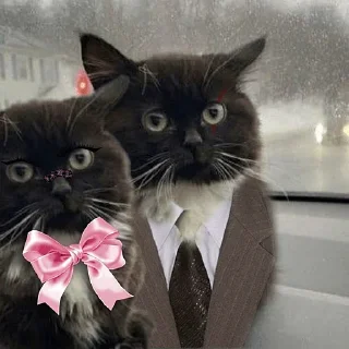 👩‍❤️‍👨