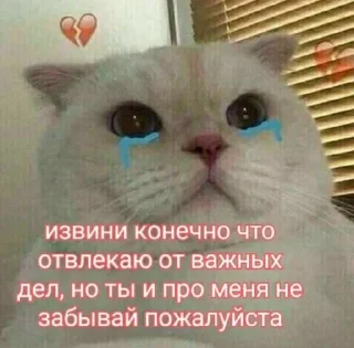 😣