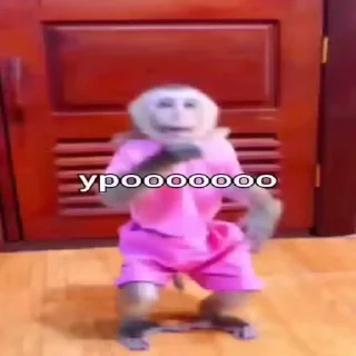🥳