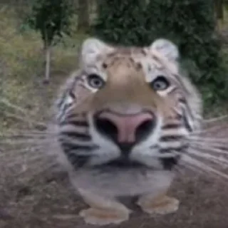 😁