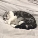 😢