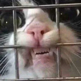 😡