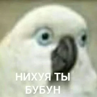 😬