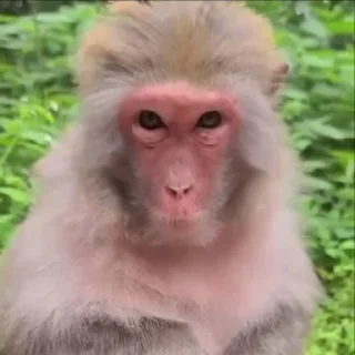 😂