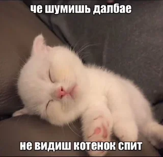 😎