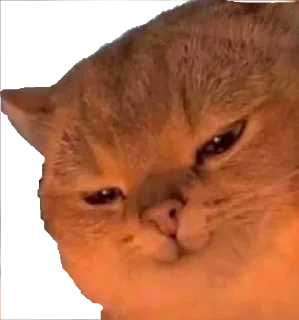 🤨