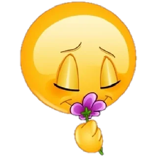🌷