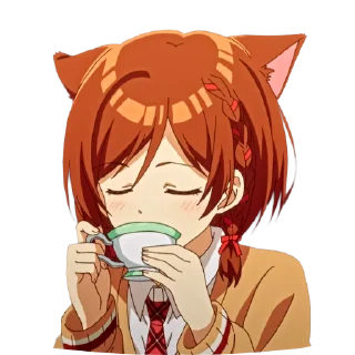 🐱