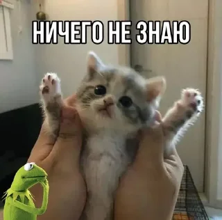 ⁉️