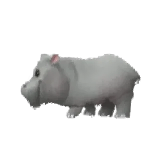 🦛