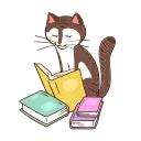 😺