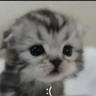 😰