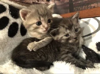 ❤️