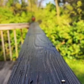🤨