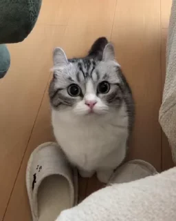 😍