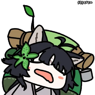 💤
