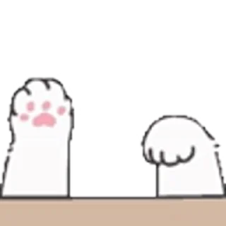 🐾