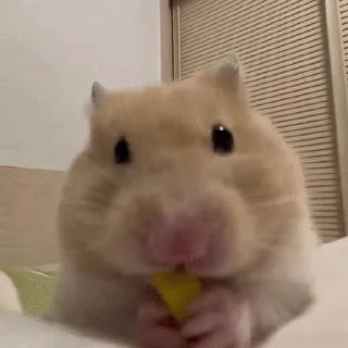 😋