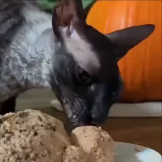 😻