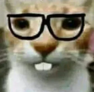 😺
