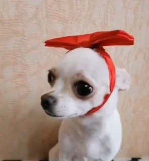 ☺️