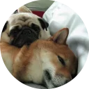 👫