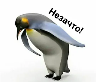 🐧