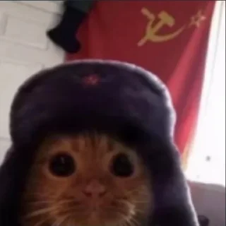 🇷🇺