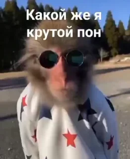 😅