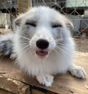 😄