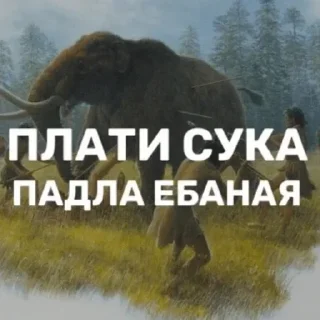 😡