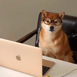 🐶