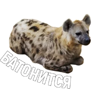 ☺