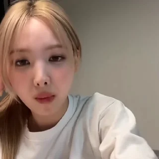 🐰
