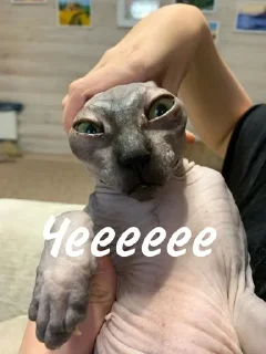 😳