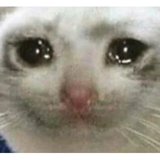 😭