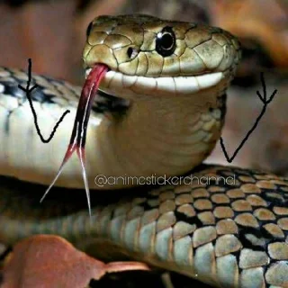 😜